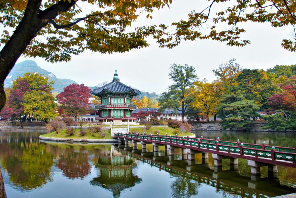 korea tourist